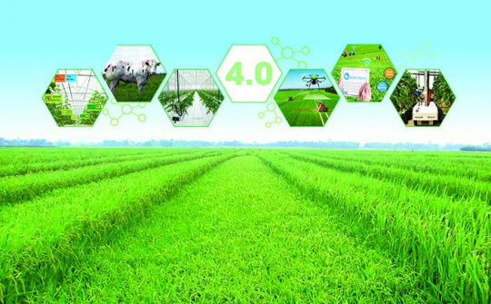 Phác thảo chiến lược phát triển Nông nghiệp nước ta thành nền nông nghiệp hàng đầu thế giới