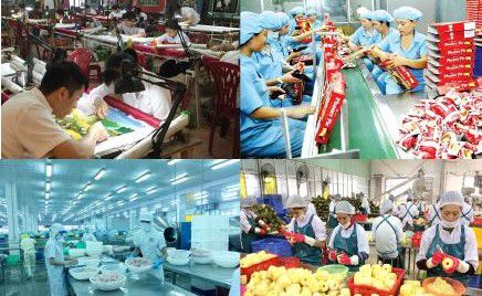 Chính sách thuế đối với phát triển kinh tế tư nhân ở Việt Nam