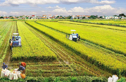 Hoàn thiện các quy định của pháp luật về chuyển đổi, chuyển nhượng đất nông nghiệp ở nước ta hiện nay