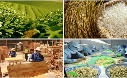 Việt Nam xây dựng nền nông nghiệp sản xuất hàng hóa