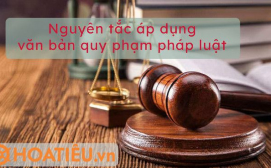 Các nguyên tắc áp dụng văn bản quy phạm pháp luật