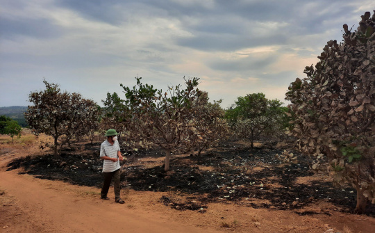 Gia Lai: Khuyến cáo người dân cẩn trọng khi đốt nương, rẫy mùa khô