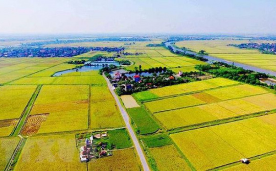 Chuyển mục đích sử dụng đất tại 4 tỉnh: Thái Nguyên, Cao Bằng, Bình Thuận, Bắc Giang