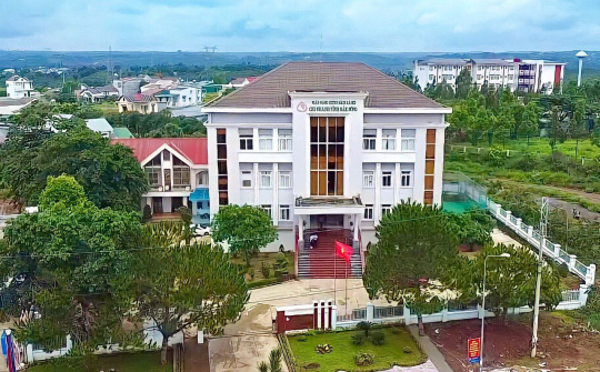 NHCSXH tỉnh Đắk Nông thực hiện triển khai nghị quyết số 11/NQ-CP