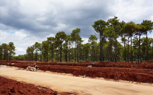 Gia Lai: Tạm dừng thi công dự án sân golf nghìn tỉ của Tập đoàn FLC