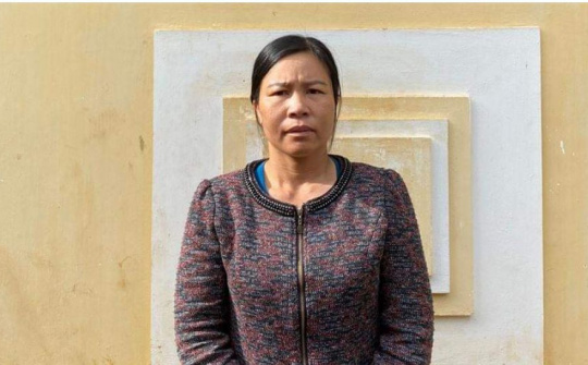 Gia Lai: Bắt giam đối tượng làm giả sổ đỏ, lừa chiếm đất của người dân