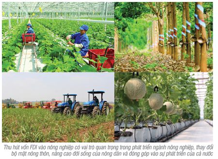 Thu hút đầu tư vào nông nghiệp: Nhà nước cần đồng hành cùng doanh nghiệp!