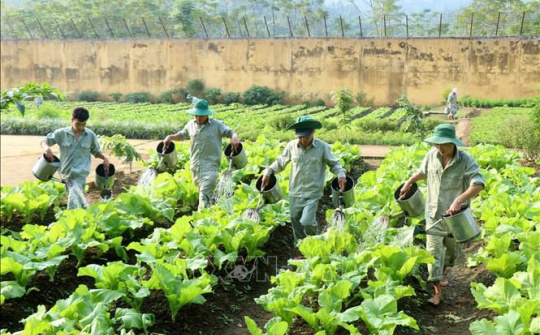 Đôn đốc triển khai quyết liệt, hiệu quả công tác cai nghiện ma túy