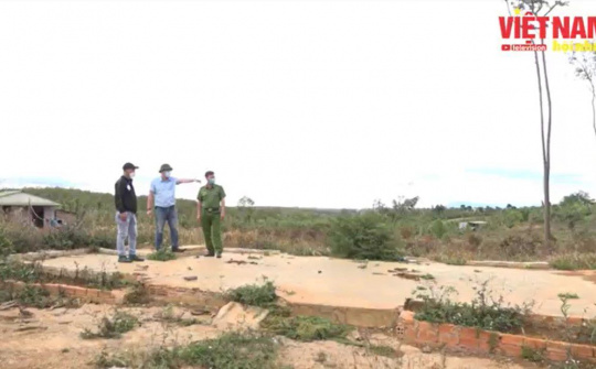 Đắk Glong quyết liệt đấu tranh, xử lý tội phạm hủy hoại rừng và lấn chiếm đất rừng