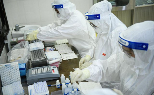 Những quyết định bước ngoặt, táo bạo đầy bản lĩnh để vượt qua đại dịch