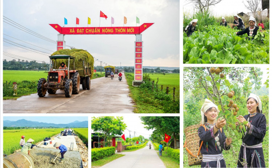 Tổ chức Phong trào thi đua “Cả nước chung sức xây dựng nông thôn mới” giai đoạn 2021 – 2025