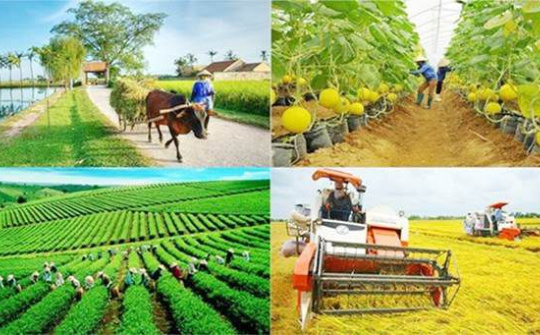 Thực trạng và giải pháp về chính sách tài chính phát triển nông nghiệp bền vững ở Việt Nam