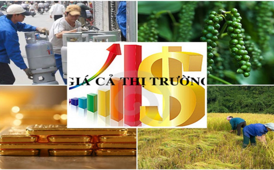 Sửa Luật Giá: Nâng cao tiêu chuẩn thẩm định viên về giá