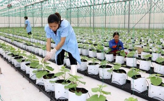 Phấn đấu "Vì một Việt Nam không còn đói nghèo"