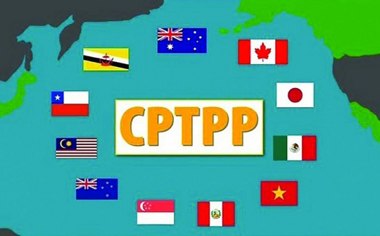 Quy định về đấu thầu mua sắm hàng hóa theo Hiệp định CPTPP