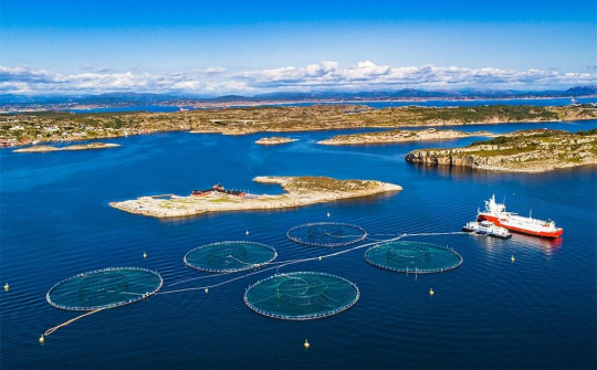 Phê duyệt Đề án bảo vệ môi trường trong hoạt động thủy sản giai đoạn 2021 – 2030