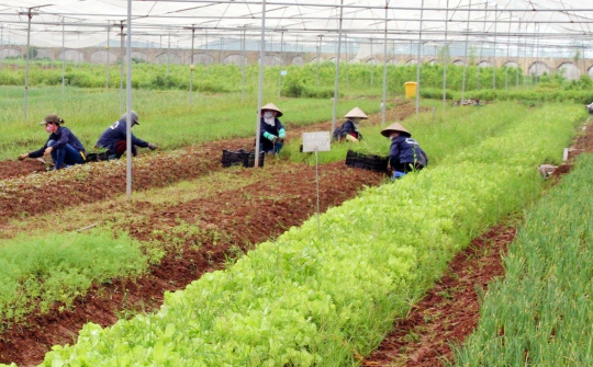 Bắc Ninh: Gần 3.000 tỷ đồng ủy thác qua các tổ chức chính trị xã hội