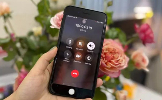 Chính sách mới thuộc lĩnh vực xây dựng, ngân hàng, tư pháp, môi trường có hiệu lực từ tháng 8/2022