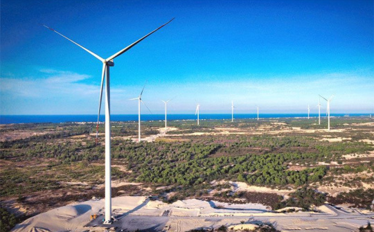 Ban hành Quy chế hoạt động của Ban Chỉ đạo quốc gia về tăng trưởng xanh