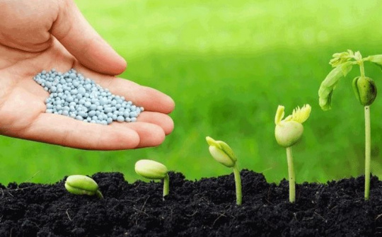 Sửa quy định về quản lý phân bón, giống cây trồng