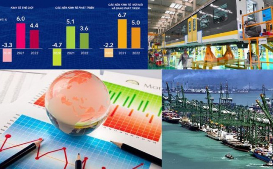Dự báo kinh tế thế giới năm 2023 nhìn từ góc độ chính sách