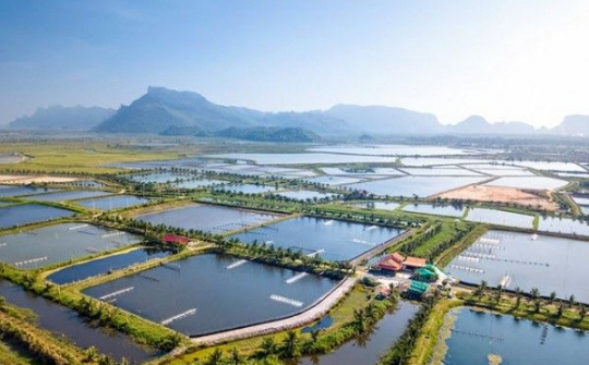 Giảm 30% tiền thuê đất, thuê mặt nước cho đối tượng bị ảnh hưởng bởi dịch COVID-19