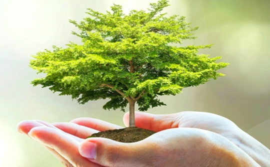 Sự vô ý thức, vô trách nhiệm đang trực tiếp hoặc gián tiếp tàn phá thiên nhiên và môi trường