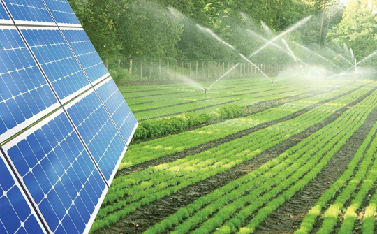 Cần thúc đẩy mạnh mẽ hành động ứng phó với biến đổi khí hậu