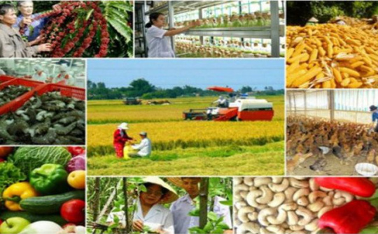 Xây dựng thí điểm và phát triển mô hình "Nông thôn năng động - Cộng đồng sáng tạo - Di sản gắn kết"