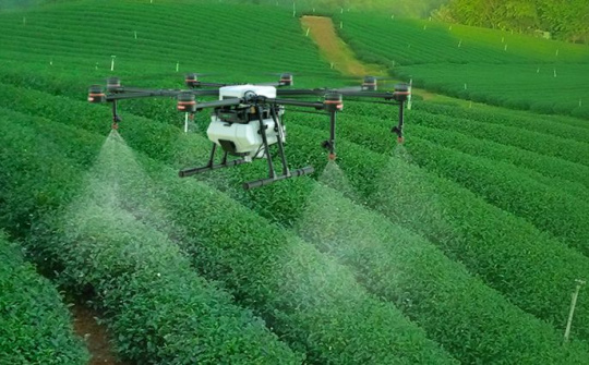 Hoàn thiện pháp luật về sử dụng, quản lý thuốc bảo vệ thực vật trong thực phẩm