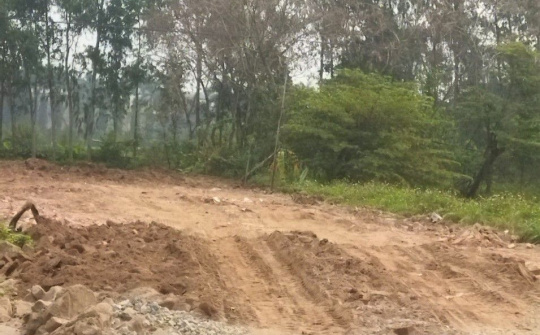 Thị trấn Phú Xuyên, huyện Phú Xuyên, Hà Nội: Kiên quyết trong việc giải phóng mặt bằng và xử lý đất lấn chiếm, sử dụng sai mục đích đất nông nghiệp