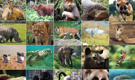 Quy hoạch bảo tồn đa dạng sinh học quốc gia thời kỳ 2021 - 2030, tầm nhìn đến năm 2050