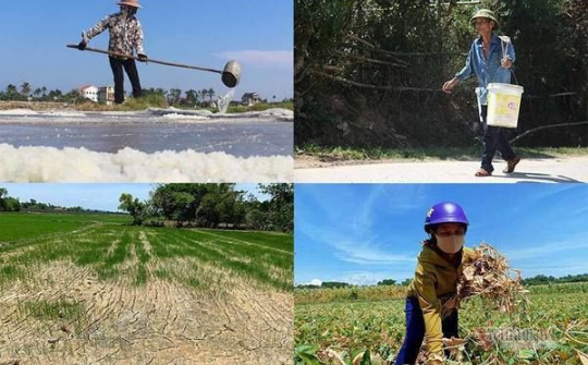 Thủ tướng yêu cầu chủ động các biện pháp ứng phó với nguy cơ nắng nóng, hạn hán, xâm nhập mặn
