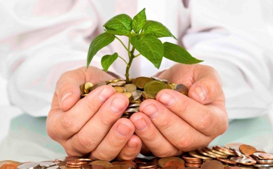 Chính phủ ban hành Nghị định quy định về bảo hiểm vi mô