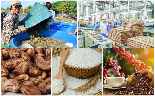 Nghị quyết phiên họp Chính phủ thường kỳ tháng 5 năm 2023 trực tuyến với địa phương