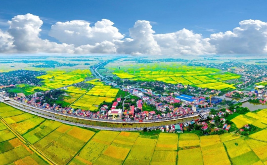 Ban hành Quy chế hoạt động của 2 Hội đồng điều phối vùng đồng bằng sông Hồng và vùng Đông Nam Bộ