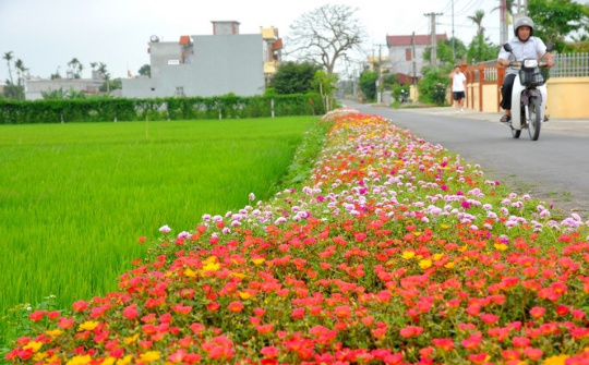 Hoàn thiện các quy hoạch để sắp xếp đơn vị hành chính cấp huyện, xã giai đoạn 2023-2030