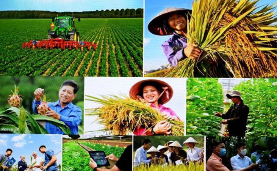 Một số chính sách mới của Chính phủ có hiệu lực từ tháng 8/2023