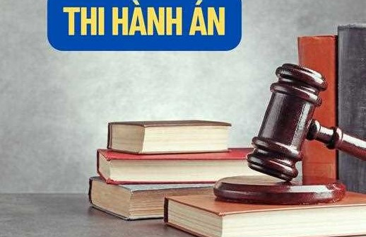 Sửa đổi cơ cấu tổ chức của Tổng cục Thi hành án dân sự
