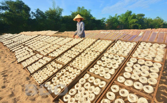 Chiến lược phát triển ngành nghề nông thôn đến năm 2030, tầm nhìn đến năm 2045