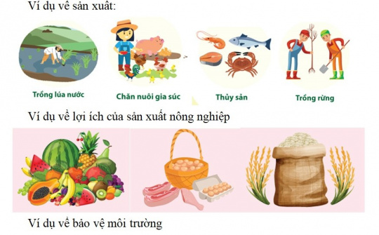 Sử dụng Infographic trong dạy học môn tự nhiên và xã hội lớp 3 (Bộ sách kết nối tri thức với cuộc sống)