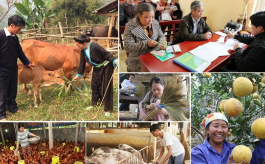 Tăng cường vai trò, nâng cao trách nhiệm của Bộ trưởng với tư cách thành viên Chính phủ trong quản lý vĩ mô và xây dựng chính sách