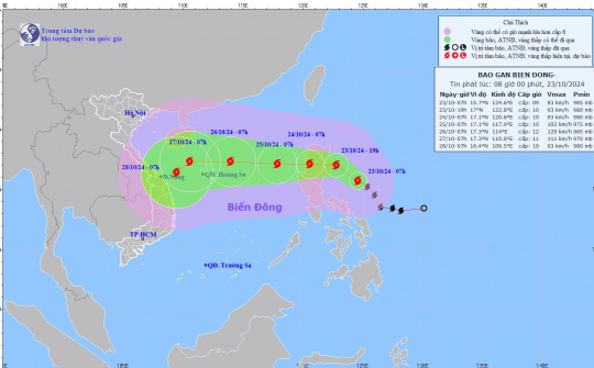 Bão Trà Mi vào Biển Đông, Quảng Nam lên phương án chống bão