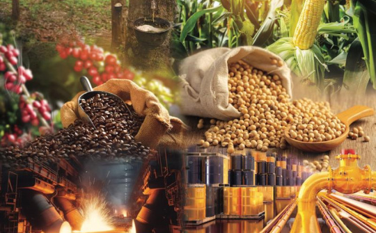 Phó Thủ tướng Hồ Đức Phớc làm Trưởng ban Chỉ đạo điều hành giá