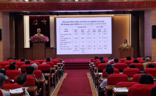 Hà Nội: Tập huấn nâng cao năng lực cho Đội Công tác xã hội tình nguyện năm 2024 tại Gia Lâm