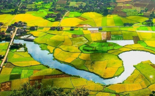 Hành vi lấn đất hoặc chiếm đất bị phạt tới 1 tỷ đồng