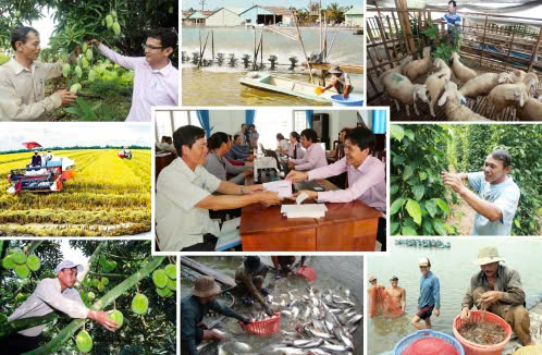 Chương trình mục tiêu quốc gia giảm nghèo bền vững - Thực trạng và giải pháp nâng cao hiệu quả