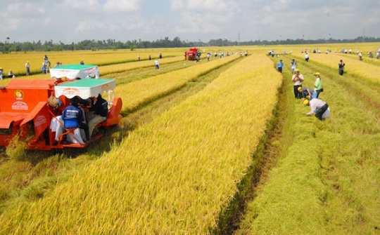 Phê duyệt danh sách thành viên Ban Chỉ đạo quốc gia về kinh tế tập thể