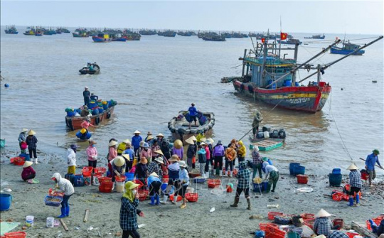 Công nhận 8 xã vùng bãi ngang, ven biển thoát khỏi tình trạng đặc biệt khó khăn