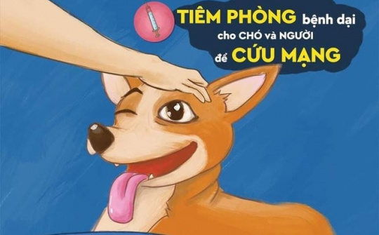Tập trung thực hiện nghiêm công tác phòng, chống bệnh Dại